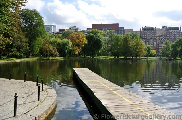 Swan Boats dock and pond of Boston Public Garden.jpg