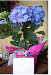 Simple yet beautiful mother's day flowers.PNG
