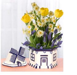 Spring flowers for mother's day special gift idea with unique potter.PNG