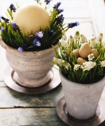Easter Flowers Pictures