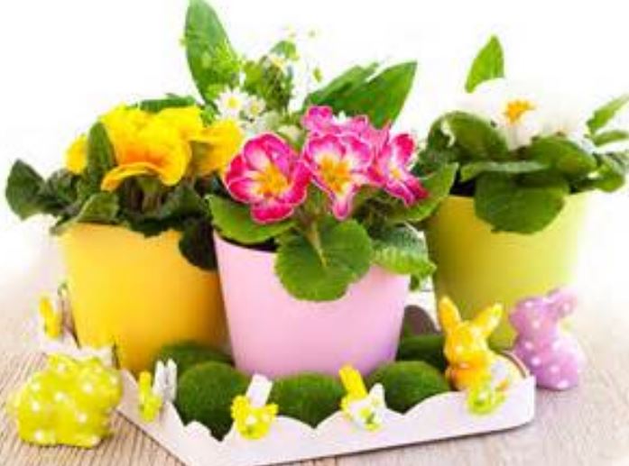 Cute little Easter flowers planters pictures.JPG