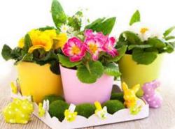 Cute little Easter flowers planters pictures.JPG