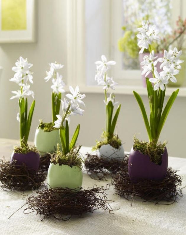 Egg in bird nests with cute white little Easter flowers.JPG