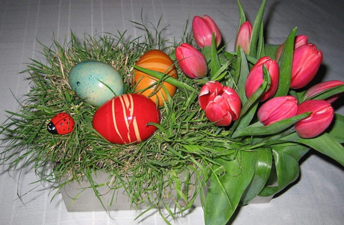 Red Easter flowers and Easter eggs arrangement images.JPG