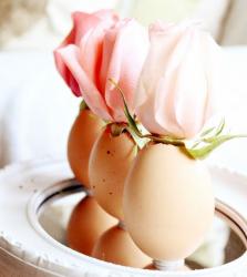 Single pink rose in each egg.JPG
