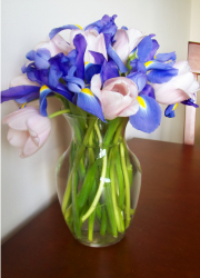 best mother's day flowers pic.PNG
