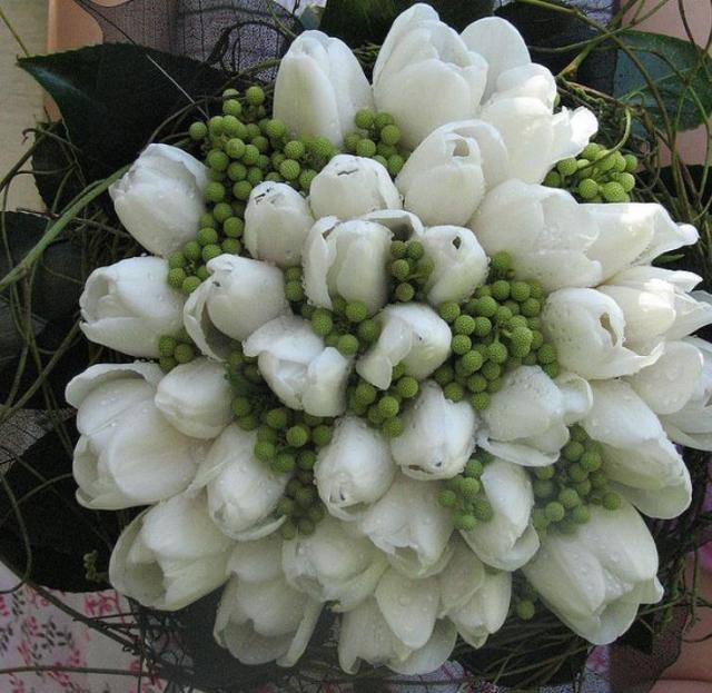 White Tulips wedding bouquet pictures.JPG