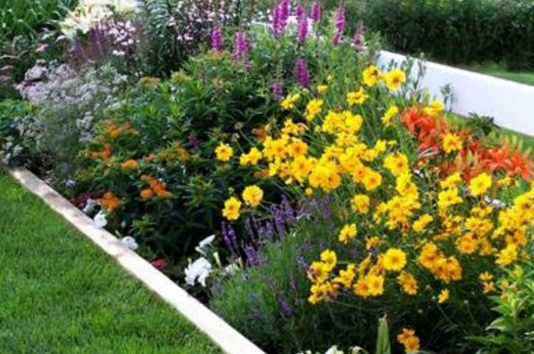Large summer flowers garden images.JPG