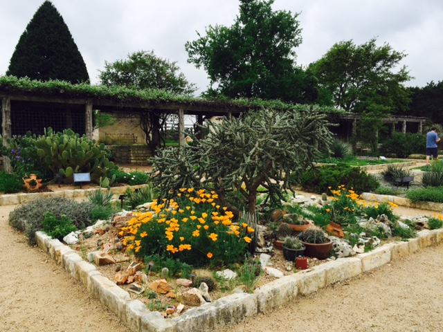 2015 Spring flowers at Lady Wildflower Center pictures.jpg