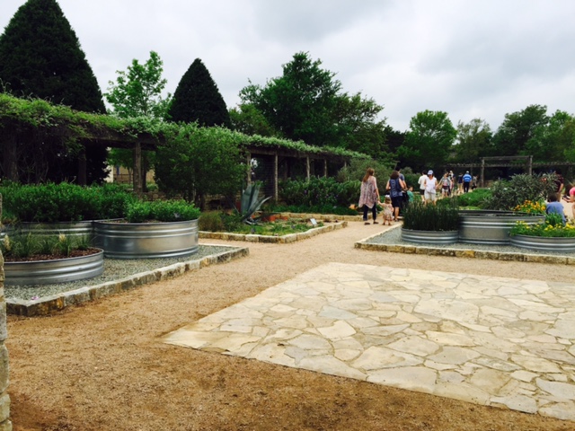 Lady Bird Wild Flower Center Spring garden 2015.jpg