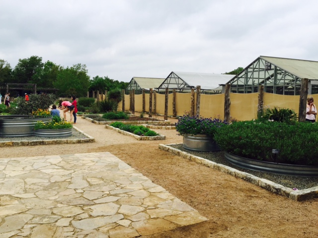 Lady Bird WildFlower Center garden pictures.jpg