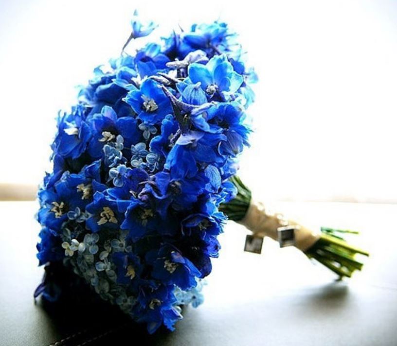 Blue Fresh flowers wedding flowers photos.JPG