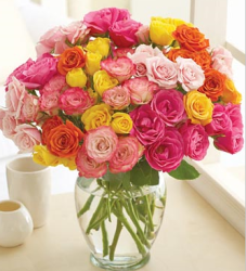 Roses in bloom flowers gifts picture.PNG