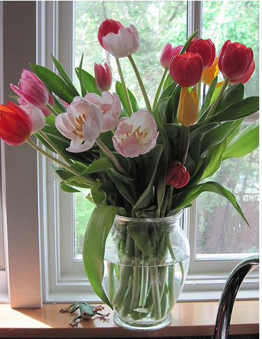 Tulips mothers day flowers in glass vase photo.PNG