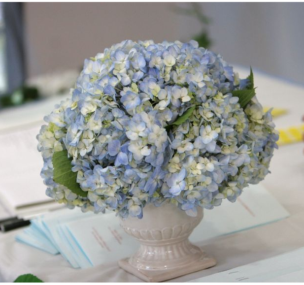 Reception table flower arrangement with blue white flowers.PNG