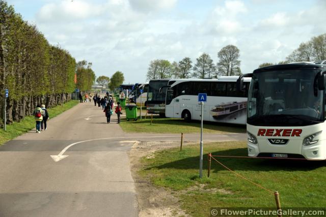 Tons of Tour Buses @ Keukenhof Parking Lot.jpg