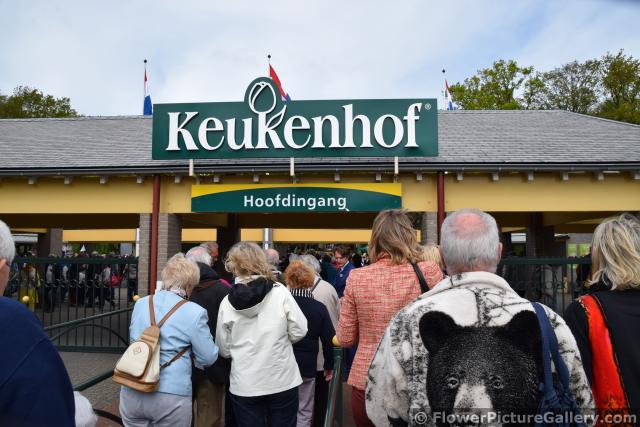 Keukenhof Entrance Area.jpg