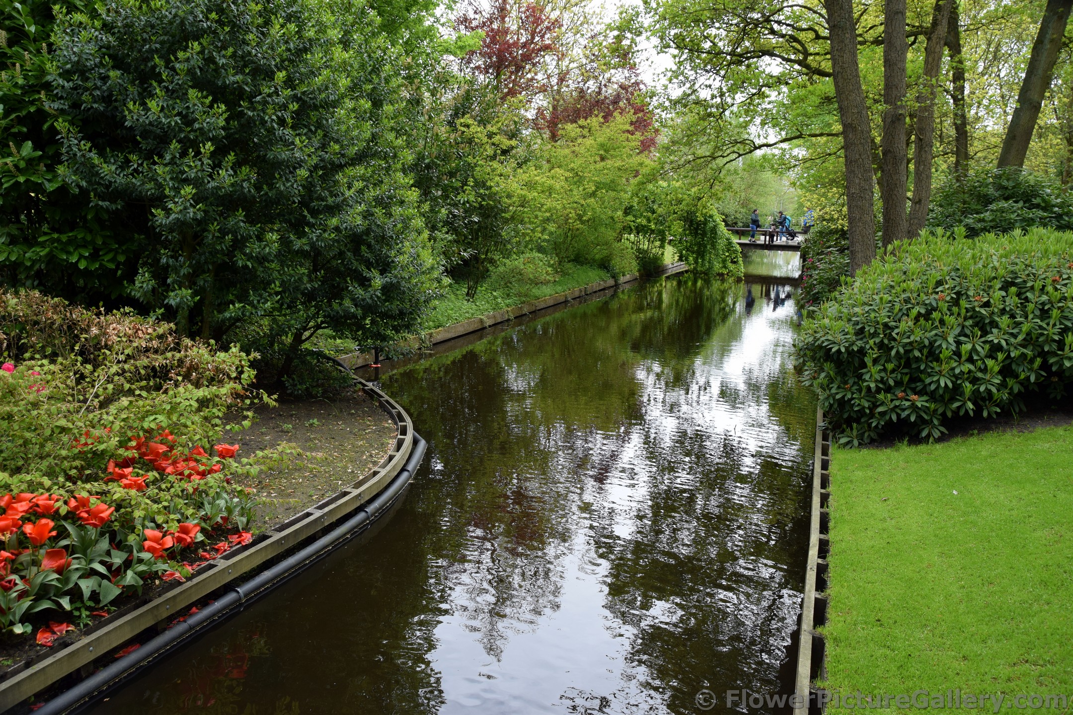 Stream & Bridge @ Keukenhof Gardens.jpg