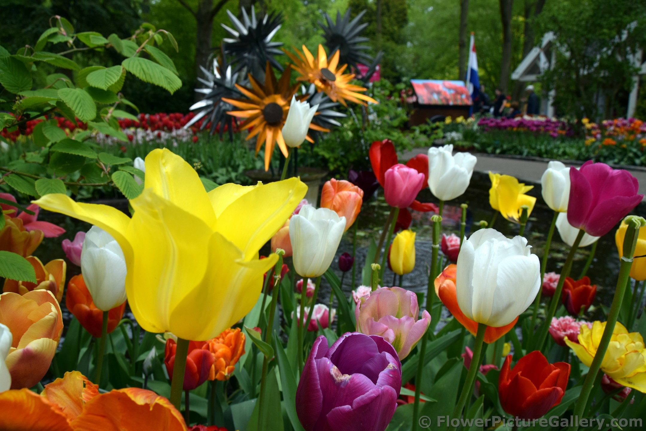 Beatiful Tulips with Metal Flowers in the Background.jpg