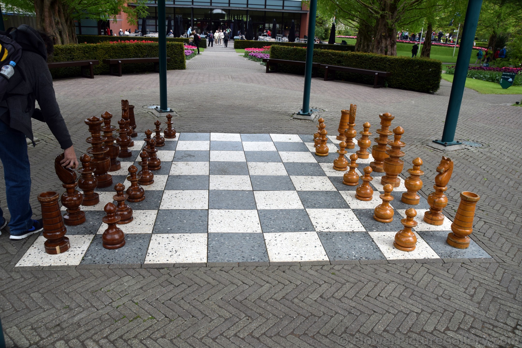 Giant Chess board @ Keukenhof.jpg