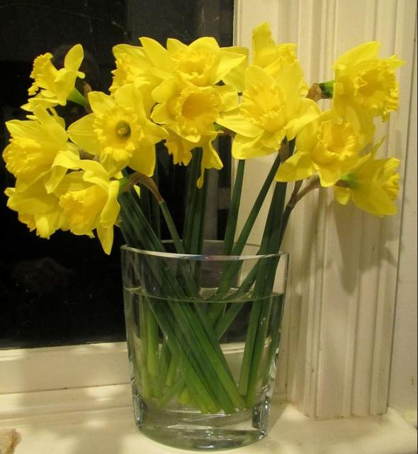 Home bouquet in glass with yellow daffodils.JPG