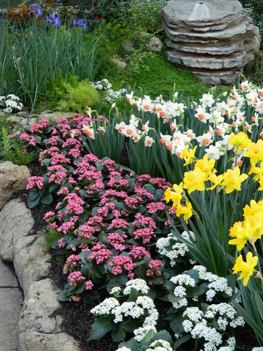 Spring garden flowers pictures.JPG