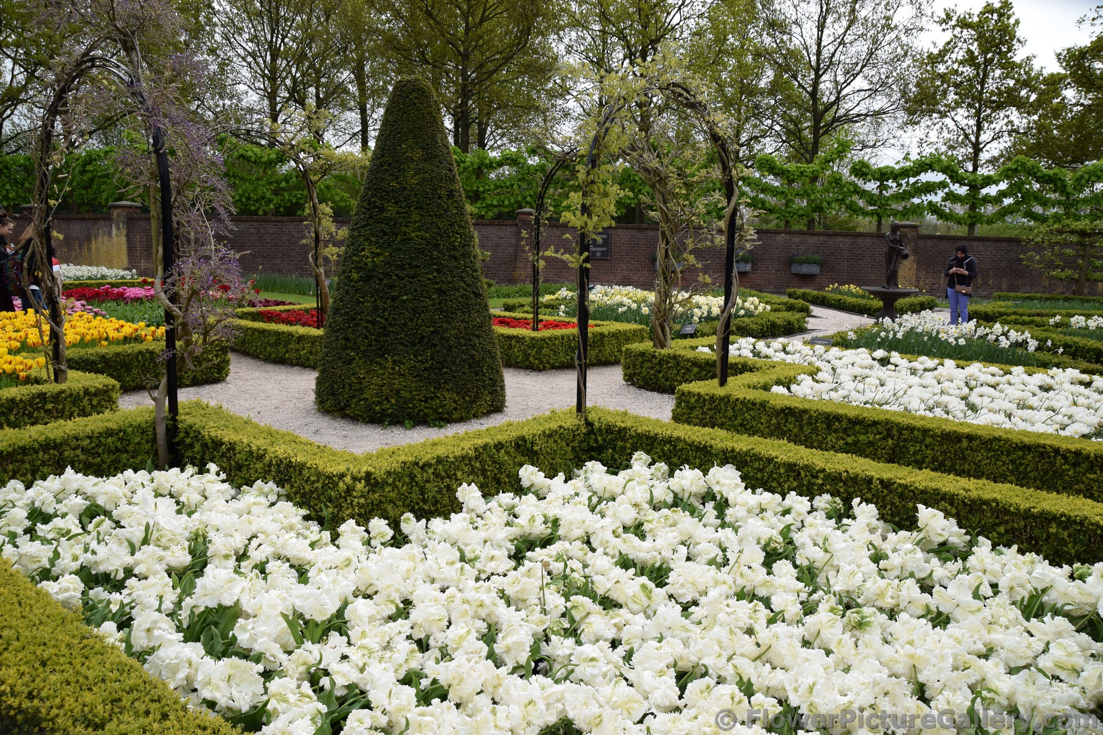 Walled Tulips & Daffodil Garden @ Keukenhof.jpg