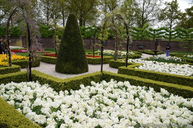Walled Tulips & Daffodil Garden @ Keukenhof.jpg