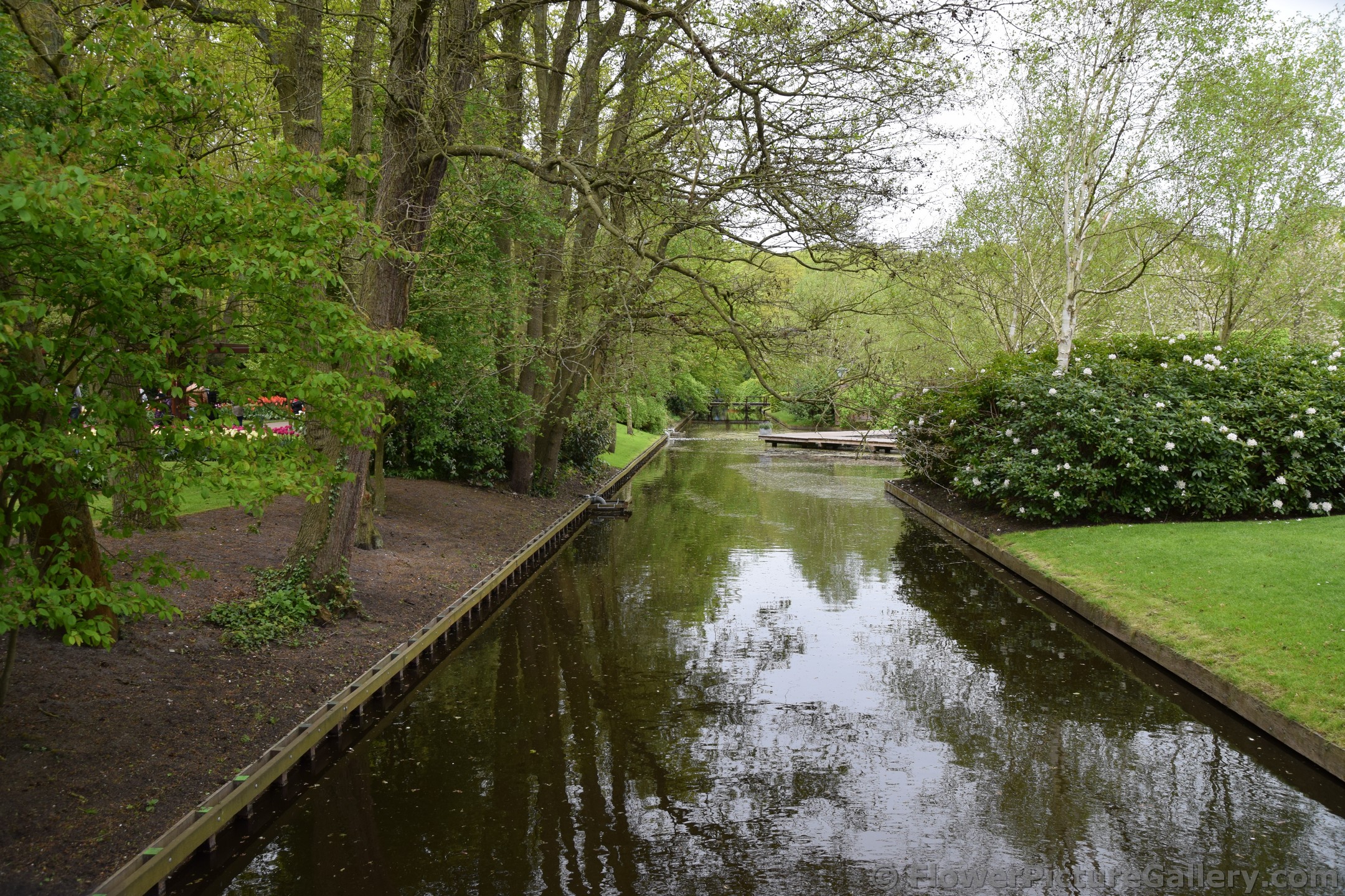 Waterway Stream @ Keukenhof Gardens.jpg