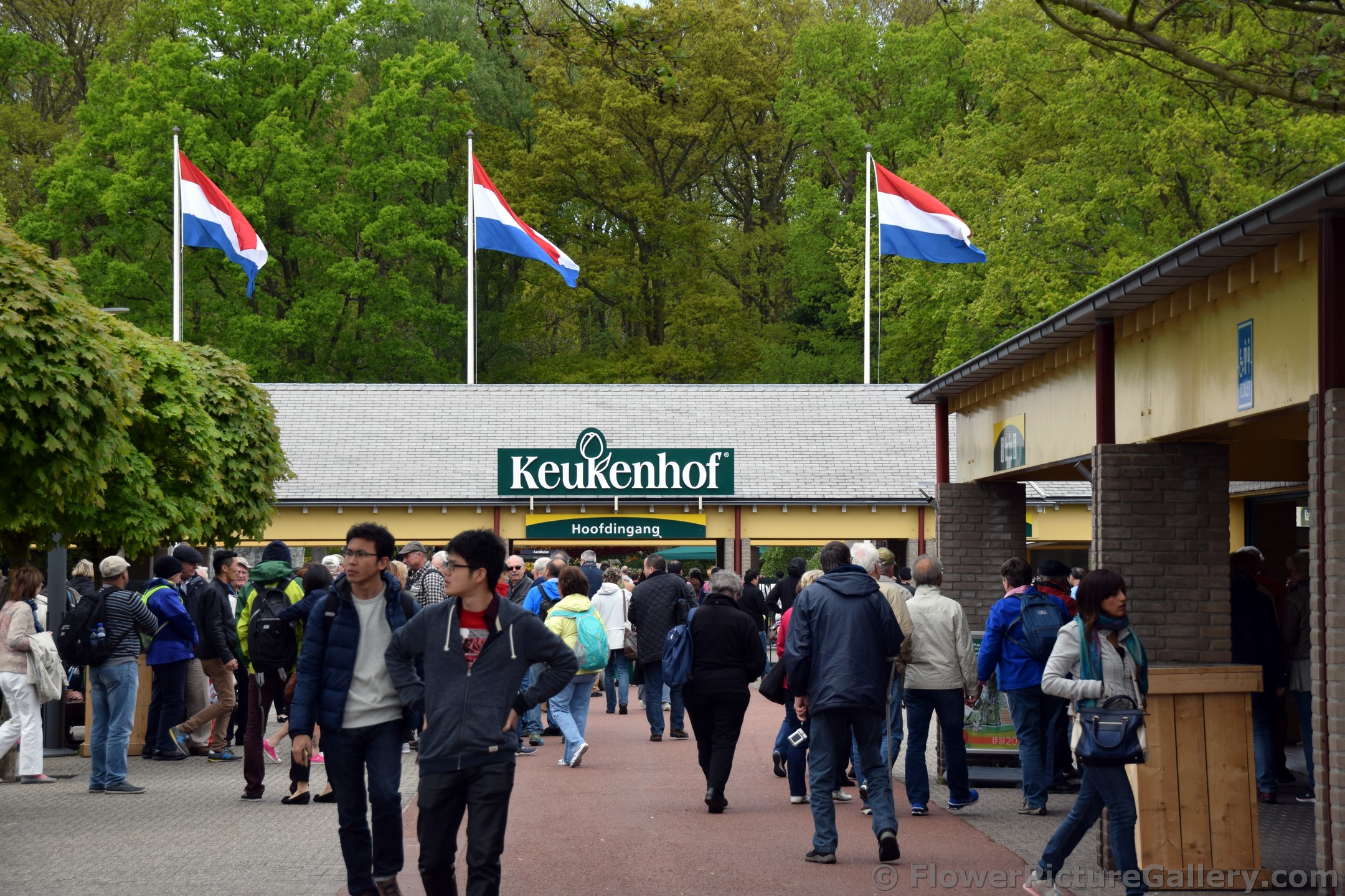 Netherland Flags Fly Above Entrance of Keukenhof Gardens.jpg