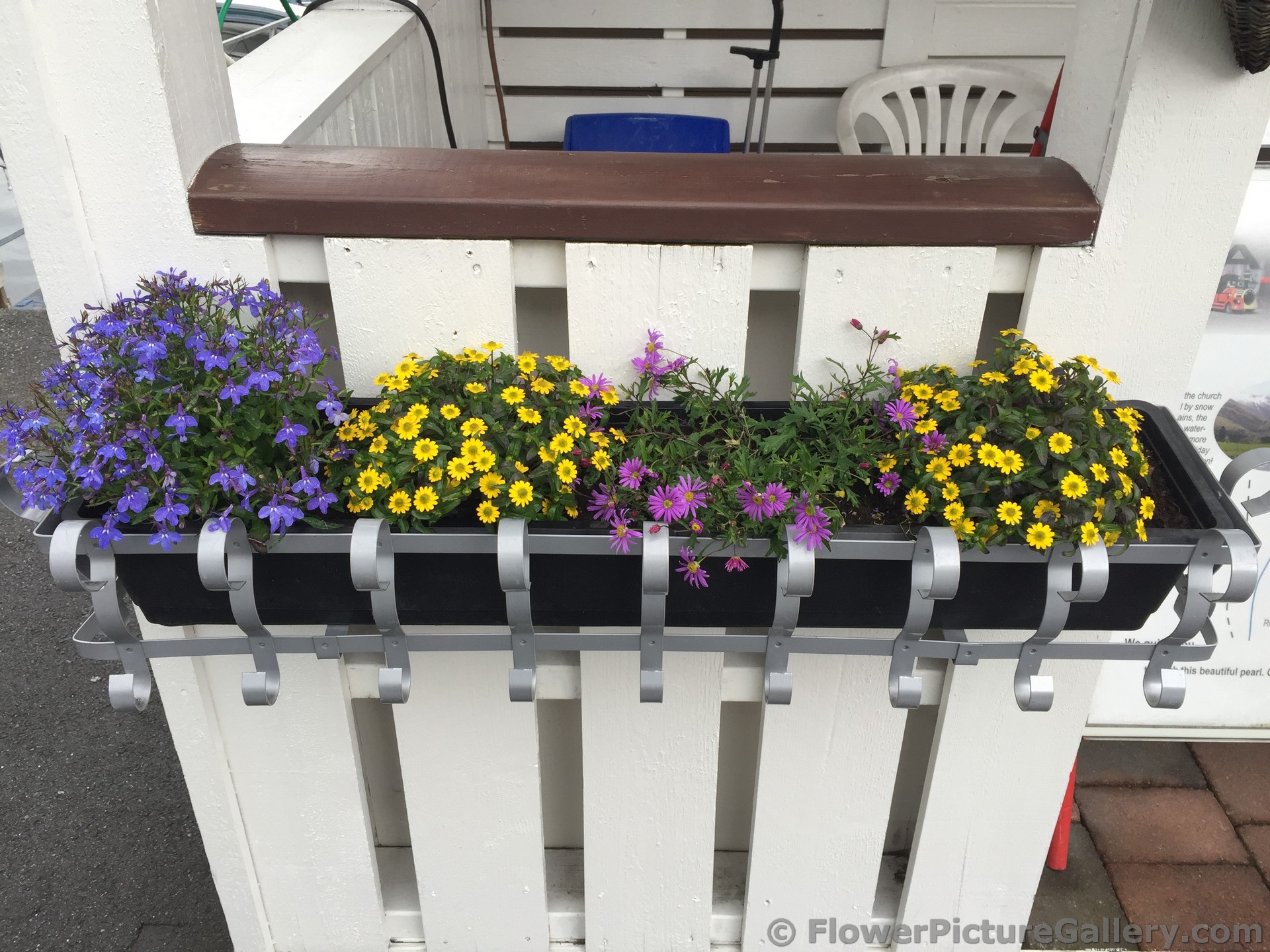Planter with Daisy Flowers Arrangement.jpg