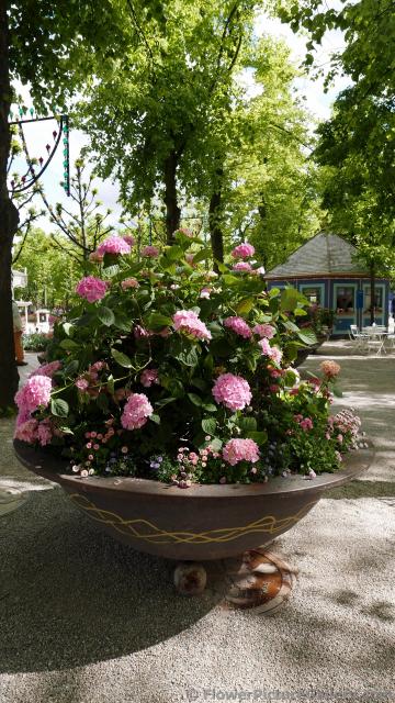 Giant Hydrangea Bowl-Shaped Planter at Tivoli Gardens in Copenhagen.jpg
