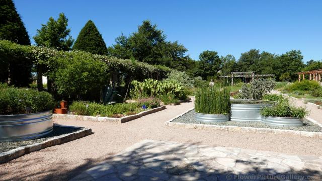 Native Plants of Dry Texas @ Lady Bird Johnson Wildflower Center.jpg