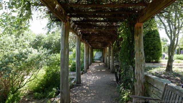 Covered Trellis Path @ Lady Bird Johnson Wildflower Center.jpg
