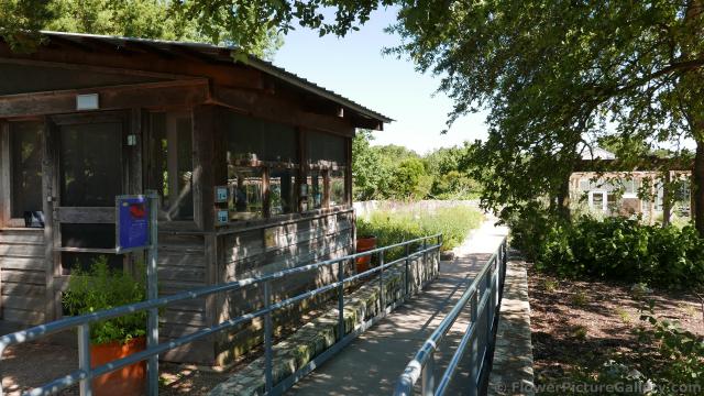 Insectary Area of Lady Bird Johnson Wildflower Center.jpg