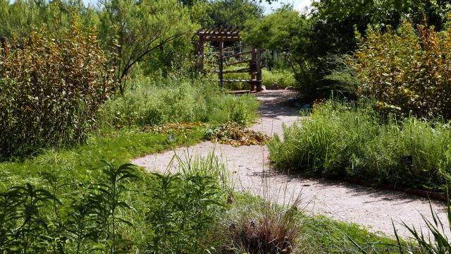 Tall Grass Meadow area of Lady Bird Johnson Wildflower Center.jpg