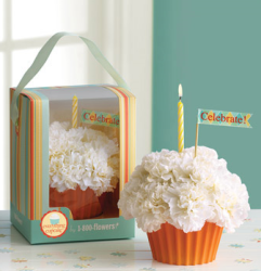 Cupcake flowers gift for birthday.PNG