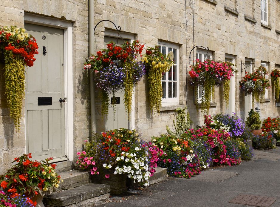 Beautiful summer flowers garden.JPG