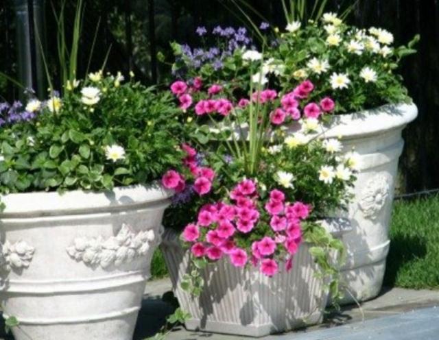 Three white beautiful garden planters.JPG