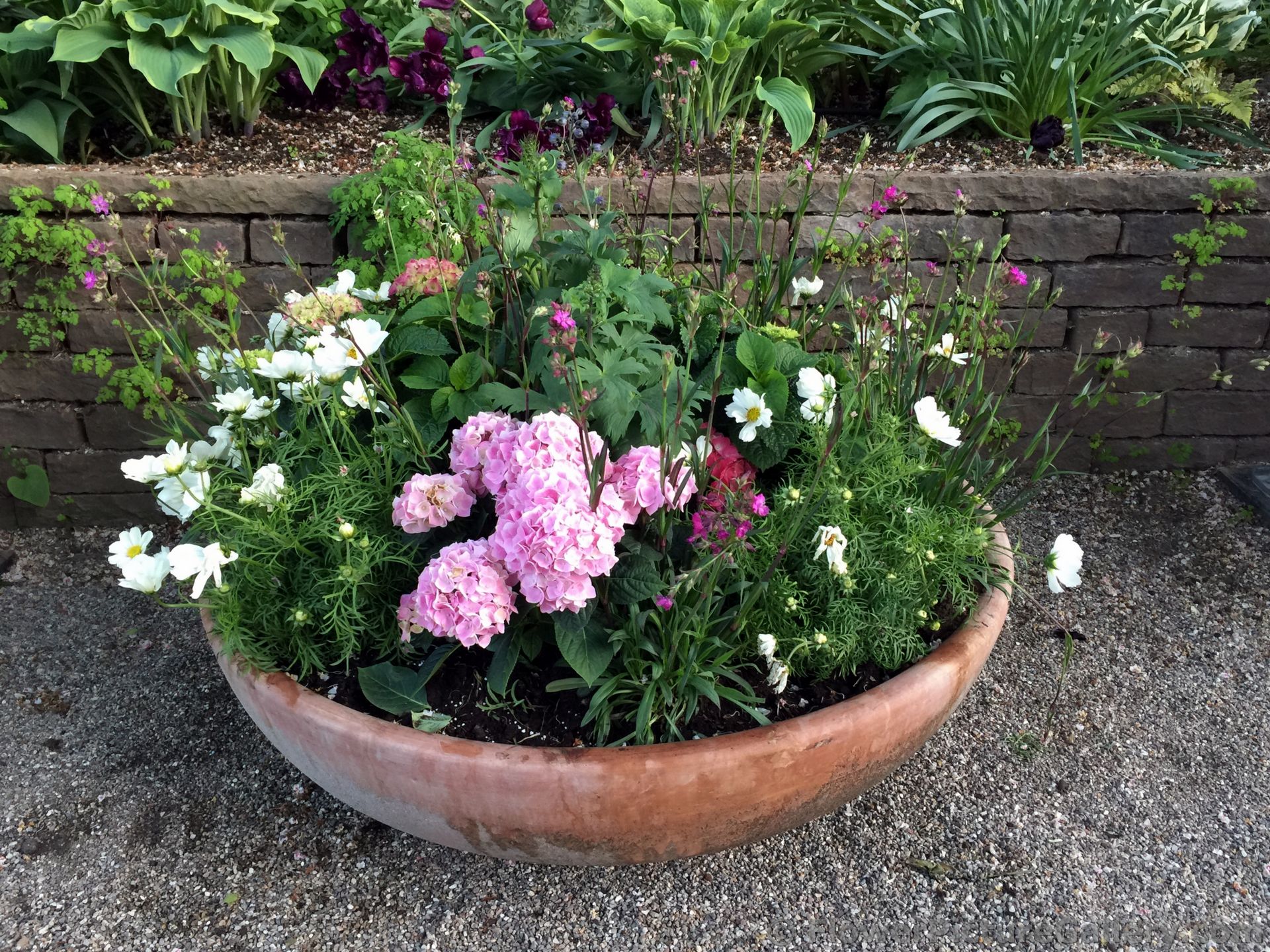 Beautiful Spring Flowers Garden in a Bowl Planter.jpg