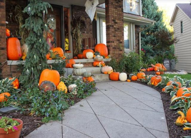 Pumpkin Halloween festive decoration picture.JPG