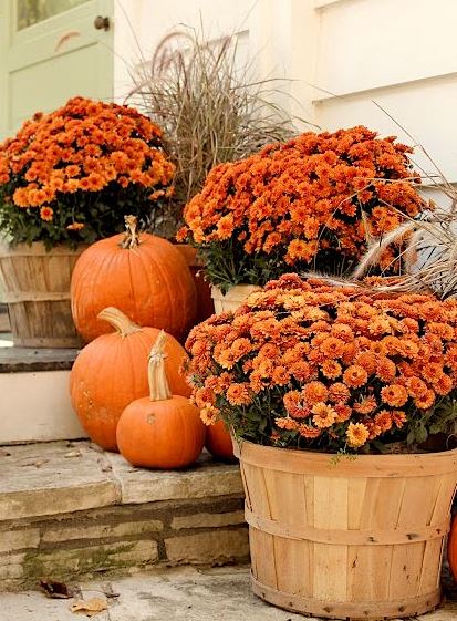 Orange flowers and pumpkins front door decoration.JPG