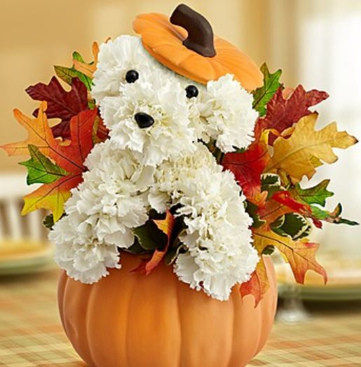 Pumpkin centerpiece with Fall leaves and white flowers dog shaped.JPG