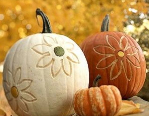 Pumpkin craving ideas pictures.JPG