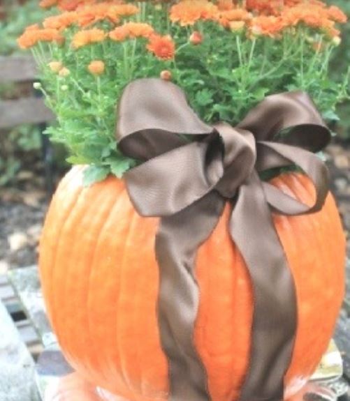 Pumpkin planter with orange flowers.JPG