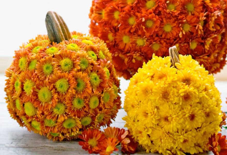 2015 pumpkin flower decoration ideas image.JPG