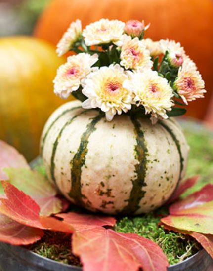 Autum pumpkin arrangement with small flowres.JPG