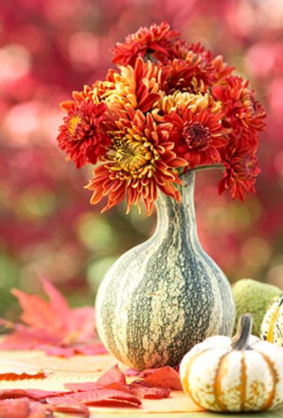 2015 easy pumpkin flowers arrangement ideas photos.JPG