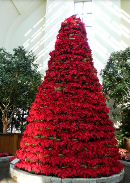 Flowers Christmas tree with red poinsettias.JPG