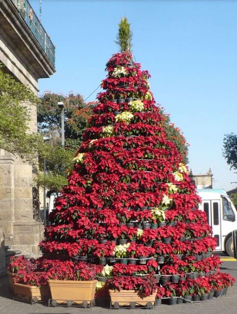 Flowers Christmas tree with white and red poinsettias.JPG